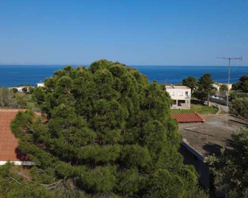 φωτογραφία ακινήτου