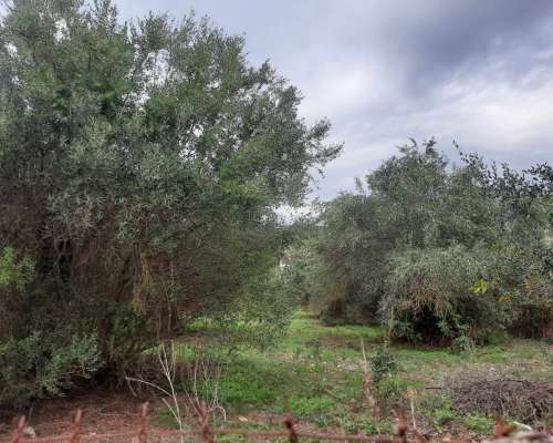 φωτογραφία ακινήτου