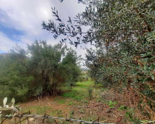 φωτογραφία ακινήτου