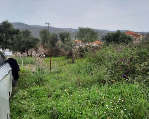 φωτογραφία ακινήτου