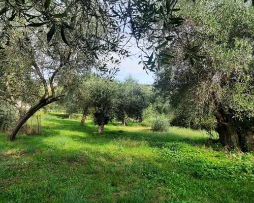 φωτογραφία ακινήτου