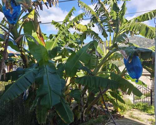 φωτογραφία ακινήτου