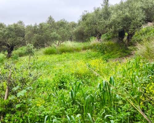 φωτογραφία ακινήτου