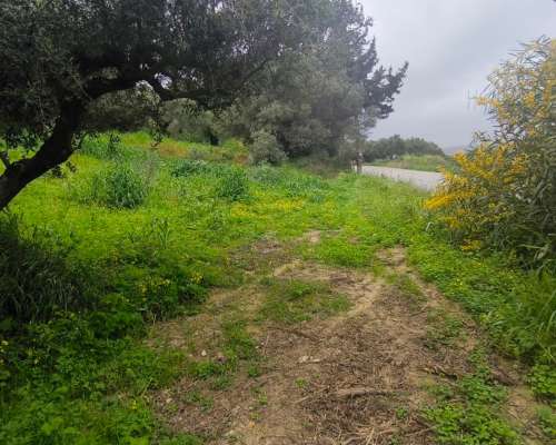 φωτογραφία ακινήτου