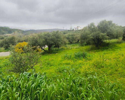 φωτογραφία ακινήτου