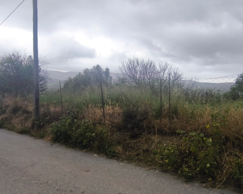 φωτογραφία ακινήτου