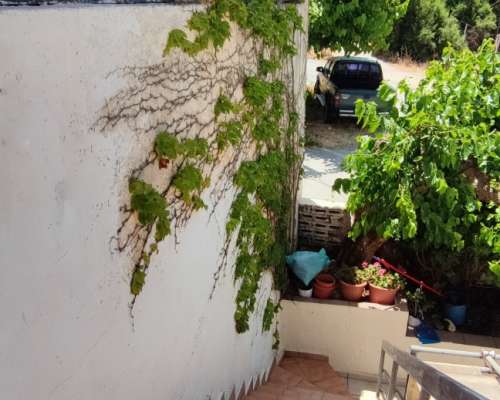 φωτογραφία ακινήτου