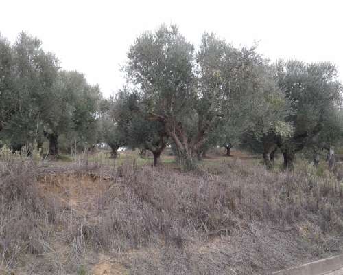 φωτογραφία ακινήτου