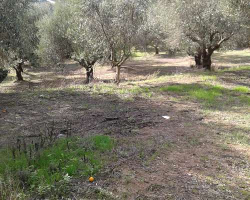 φωτογραφία ακινήτου