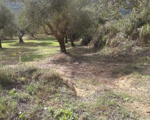φωτογραφία ακινήτου
