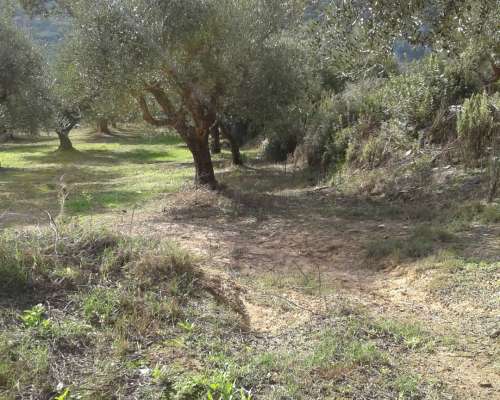 φωτογραφία ακινήτου
