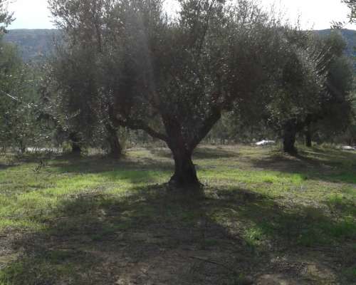φωτογραφία ακινήτου