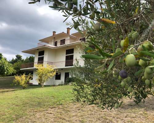 φωτογραφία ακινήτου