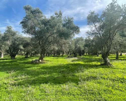 φωτογραφία ακινήτου