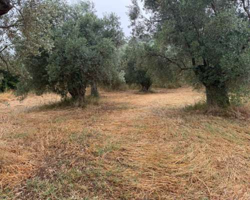 φωτογραφία ακινήτου