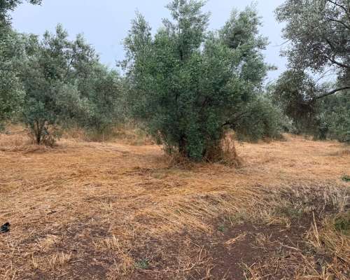 φωτογραφία ακινήτου