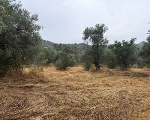 φωτογραφία ακινήτου