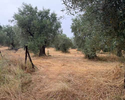 φωτογραφία ακινήτου