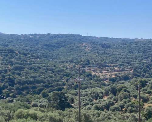 φωτογραφία ακινήτου