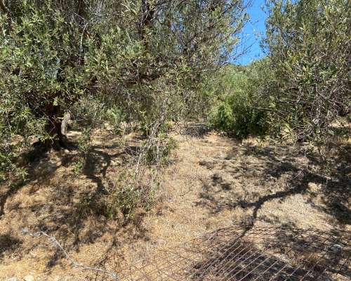 φωτογραφία ακινήτου