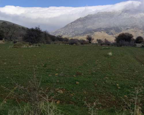 φωτογραφία ακινήτου