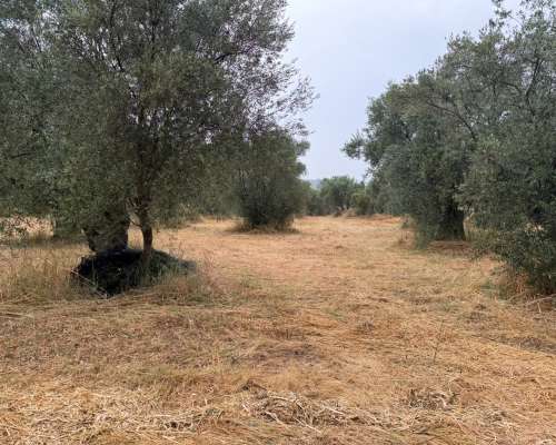 φωτογραφία ακινήτου