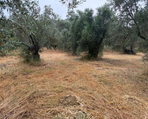 φωτογραφία ακινήτου