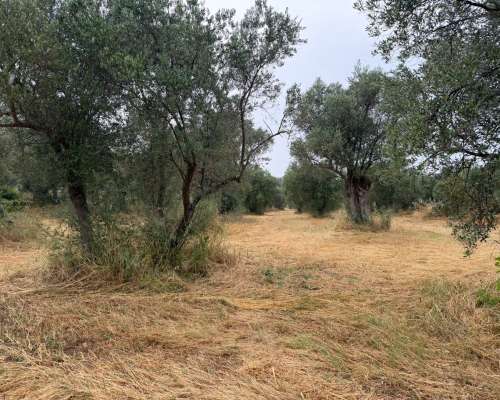 φωτογραφία ακινήτου