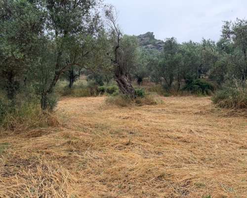 φωτογραφία ακινήτου