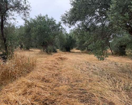 φωτογραφία ακινήτου
