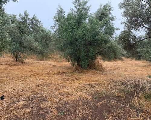φωτογραφία ακινήτου