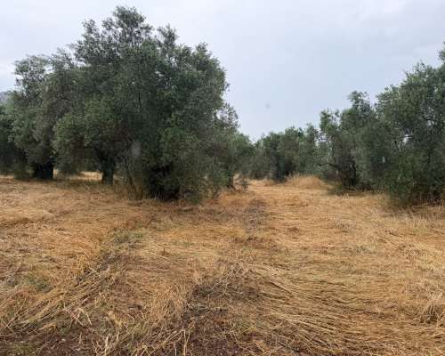 φωτογραφία ακινήτου