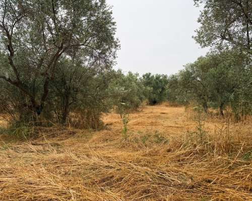 φωτογραφία ακινήτου