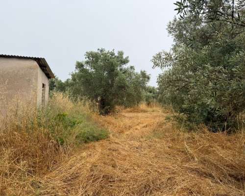 φωτογραφία ακινήτου