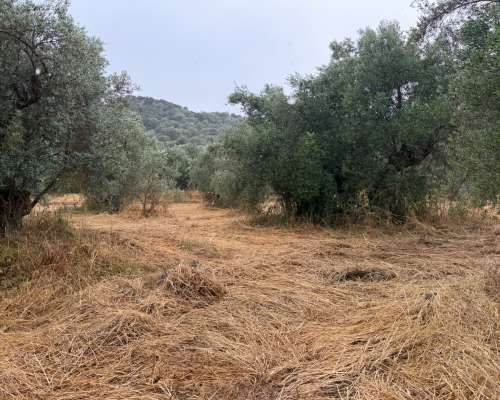 φωτογραφία ακινήτου