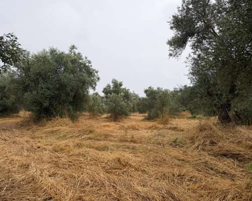 φωτογραφία ακινήτου