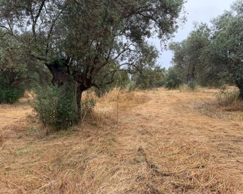 φωτογραφία ακινήτου