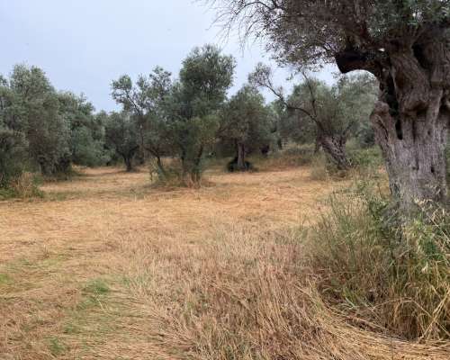 φωτογραφία ακινήτου