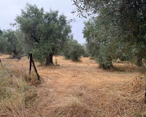 φωτογραφία ακινήτου
