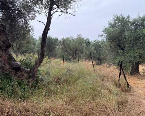 φωτογραφία ακινήτου