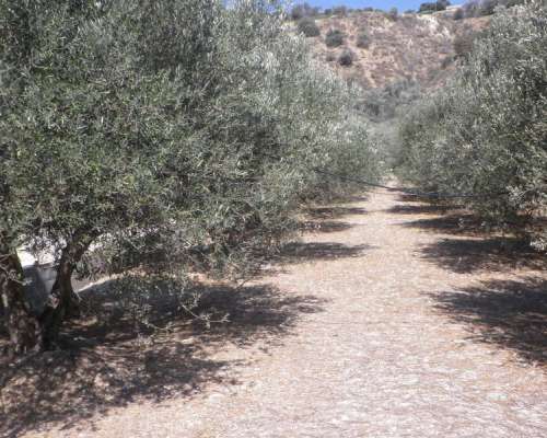 φωτογραφία ακινήτου