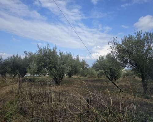 φωτογραφία ακινήτου