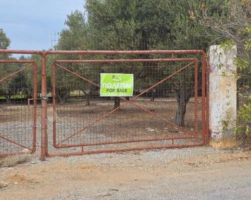 εικόνα ακινήτου
