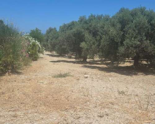 φωτογραφία ακινήτου