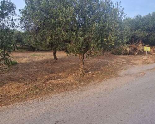 φωτογραφία ακινήτου