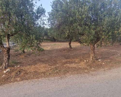 φωτογραφία ακινήτου