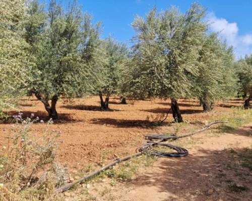 φωτογραφία ακινήτου