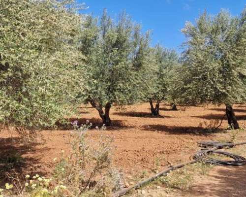 φωτογραφία ακινήτου