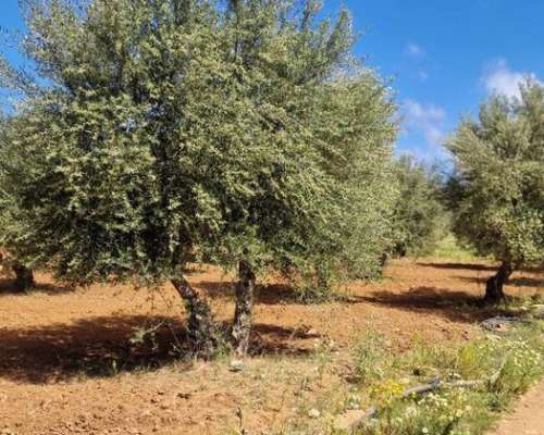 φωτογραφία ακινήτου