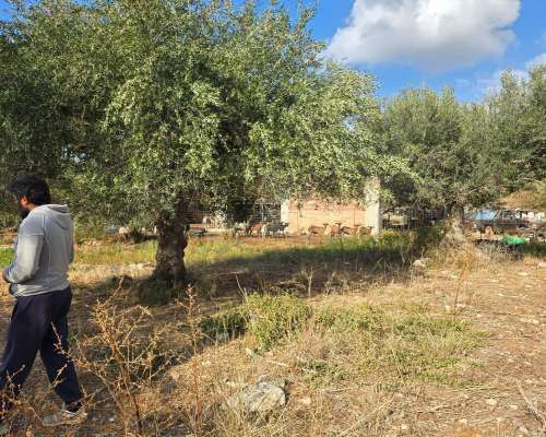 φωτογραφία ακινήτου